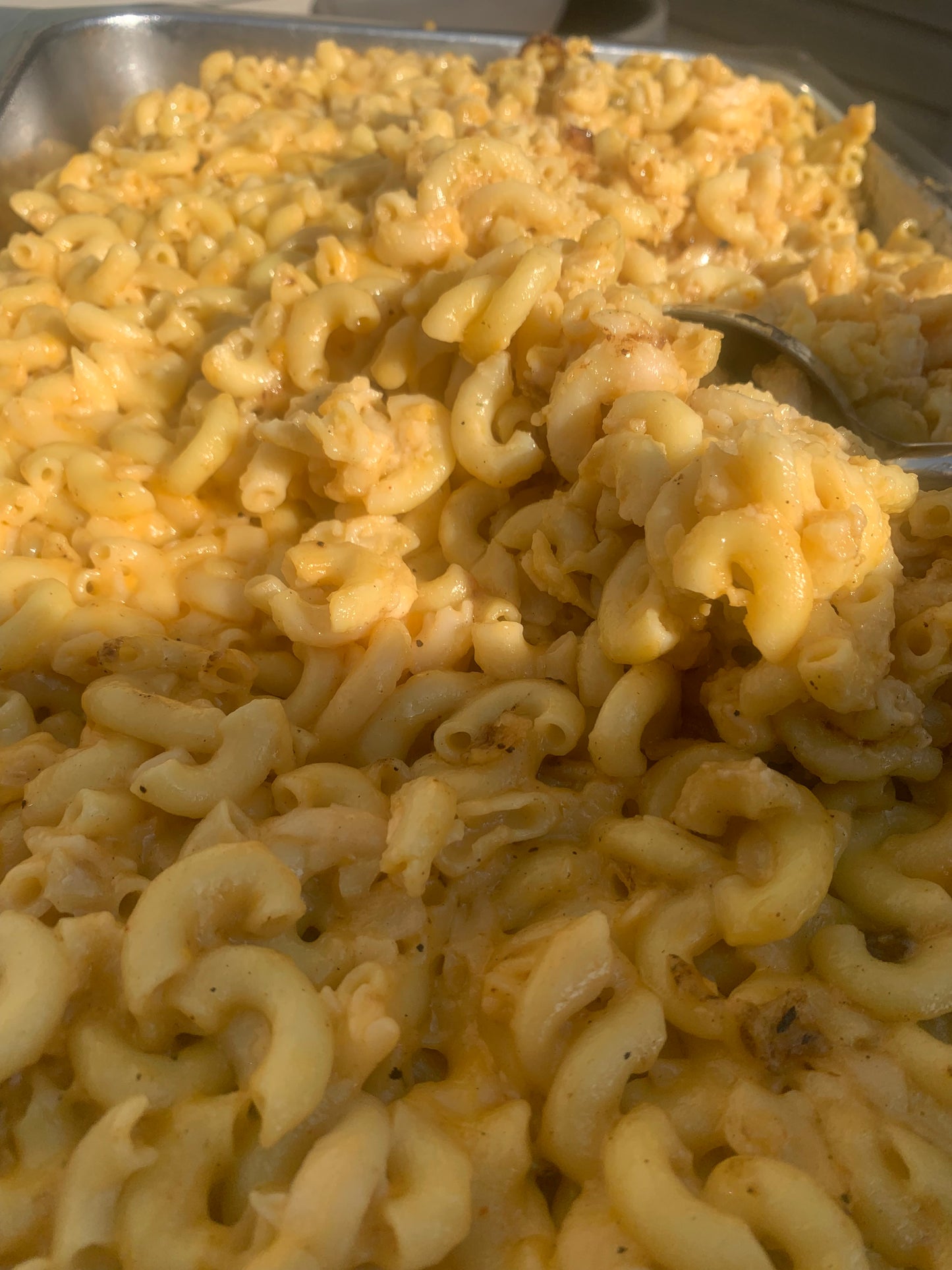 Presale Festival Meals
